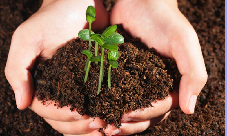 �����ʴ�(�й���)�ٷ���վ