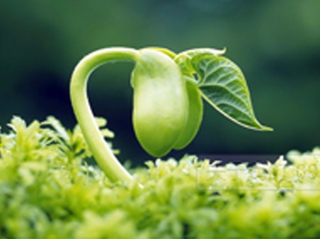 ��̬���β�����������ˮ�����������̷�ˮ�Ƿ�ΪΣ���̵ֽĻظ�